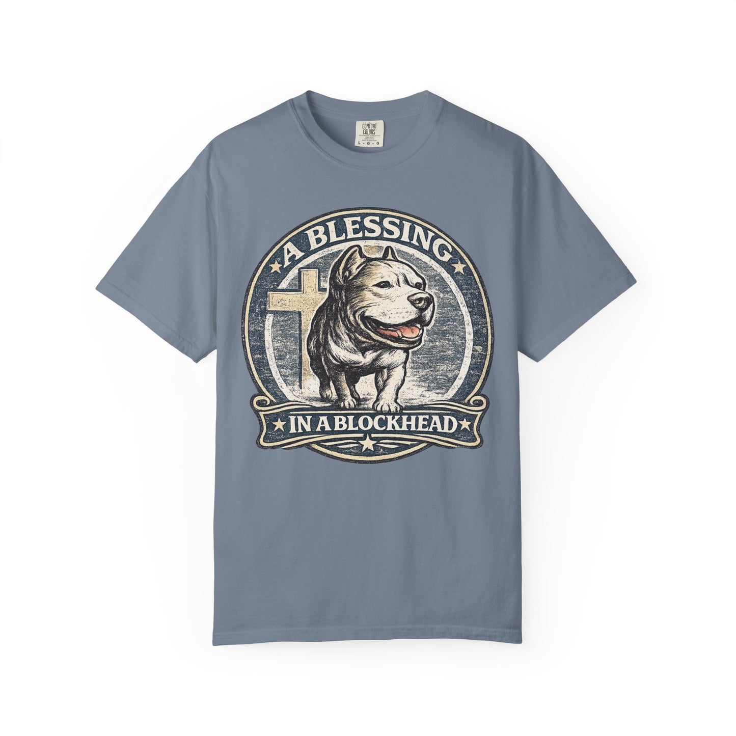 A Blessing in a Blockhead Vintage Tee – Christian Pit Bull Shirt