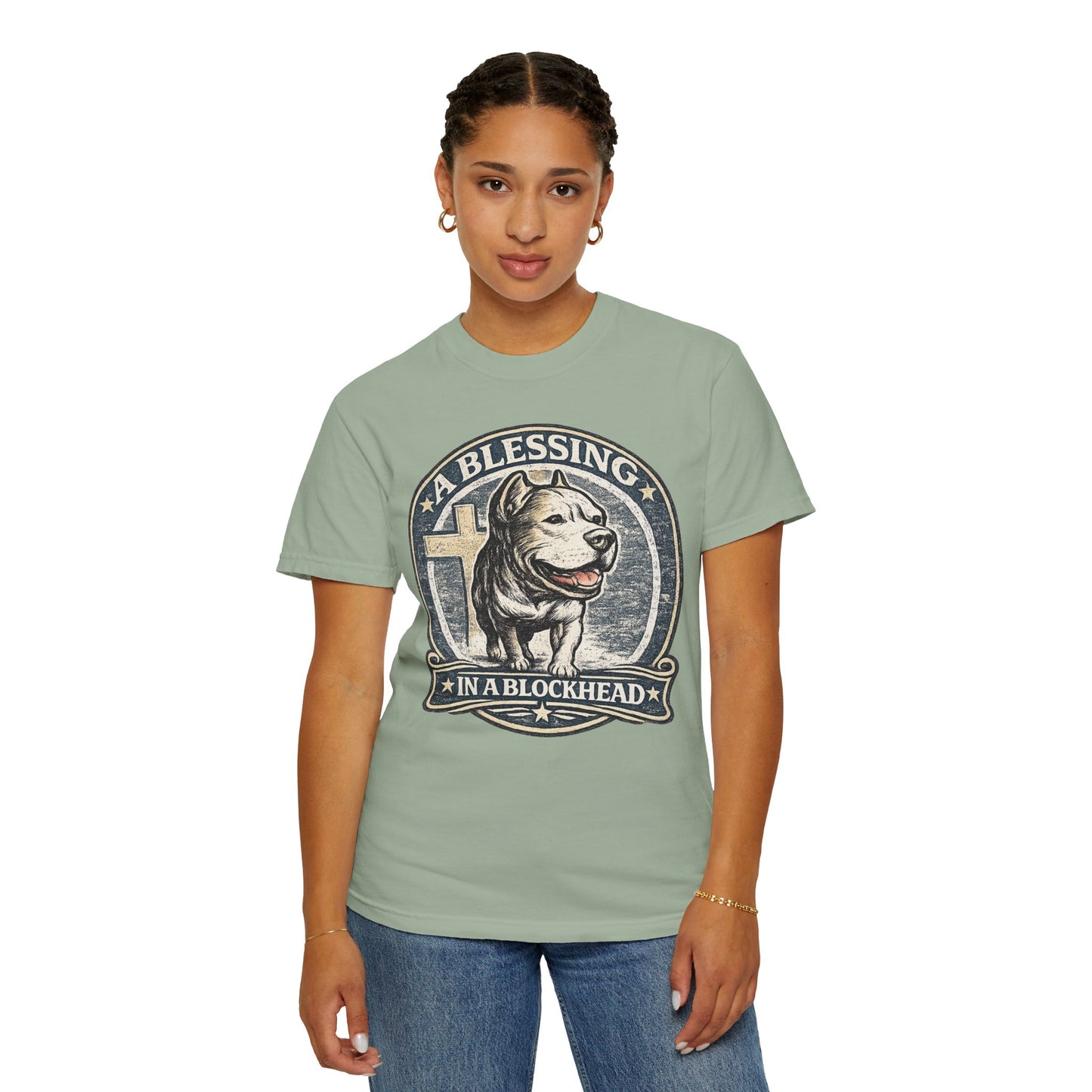 A Blessing in a Blockhead Vintage Tee – Christian Pit Bull Shirt