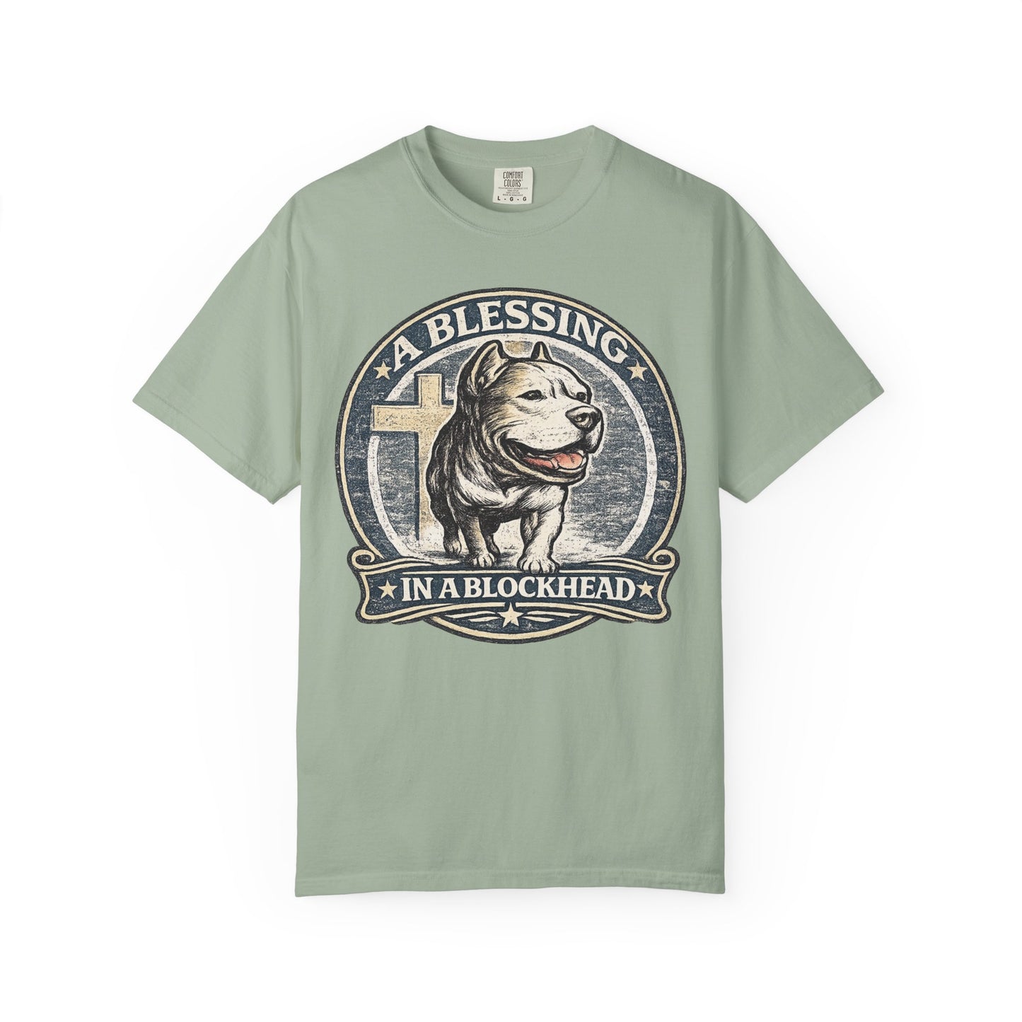 A Blessing in a Blockhead Vintage Tee – Christian Pit Bull Shirt