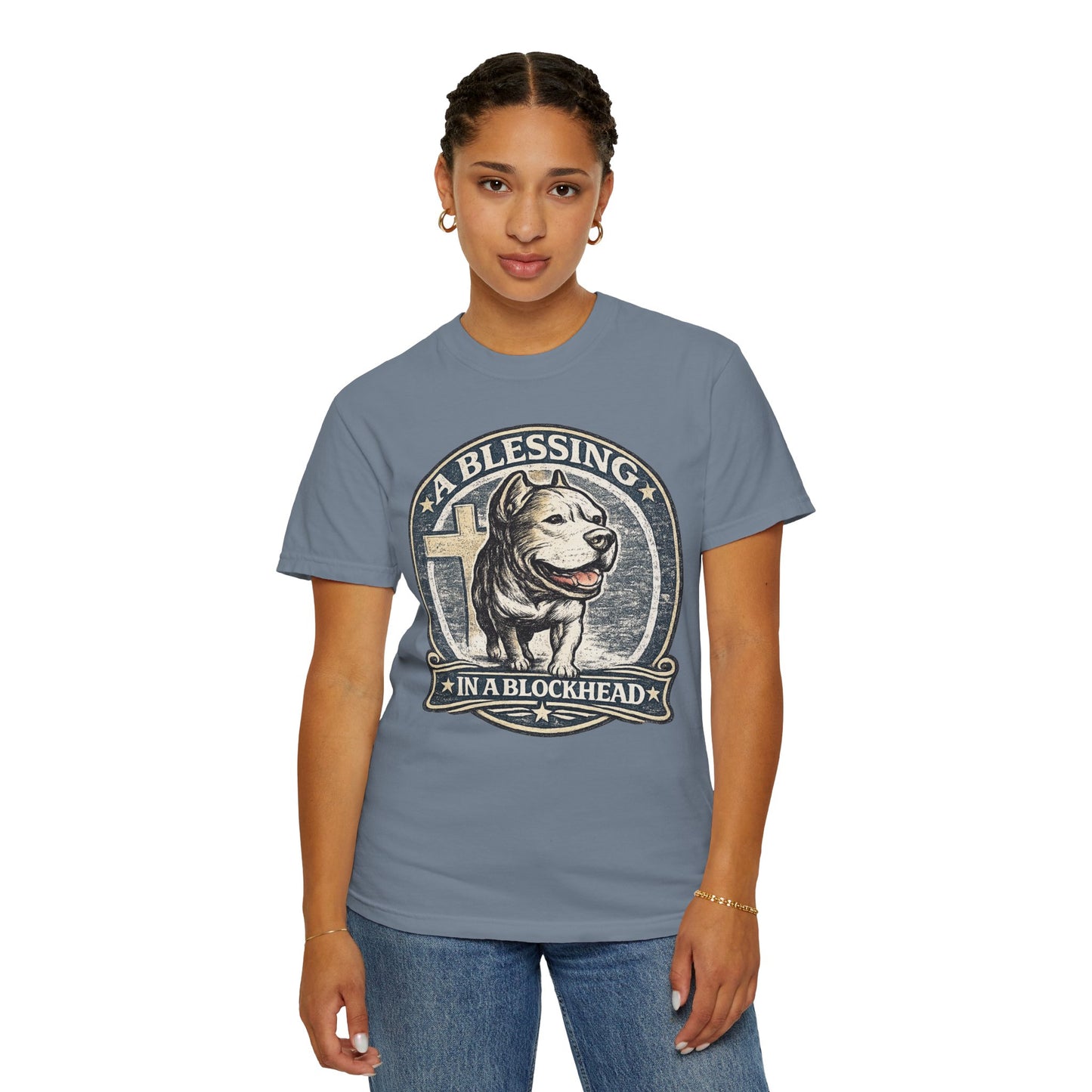 A Blessing in a Blockhead Vintage Tee – Christian Pit Bull Shirt