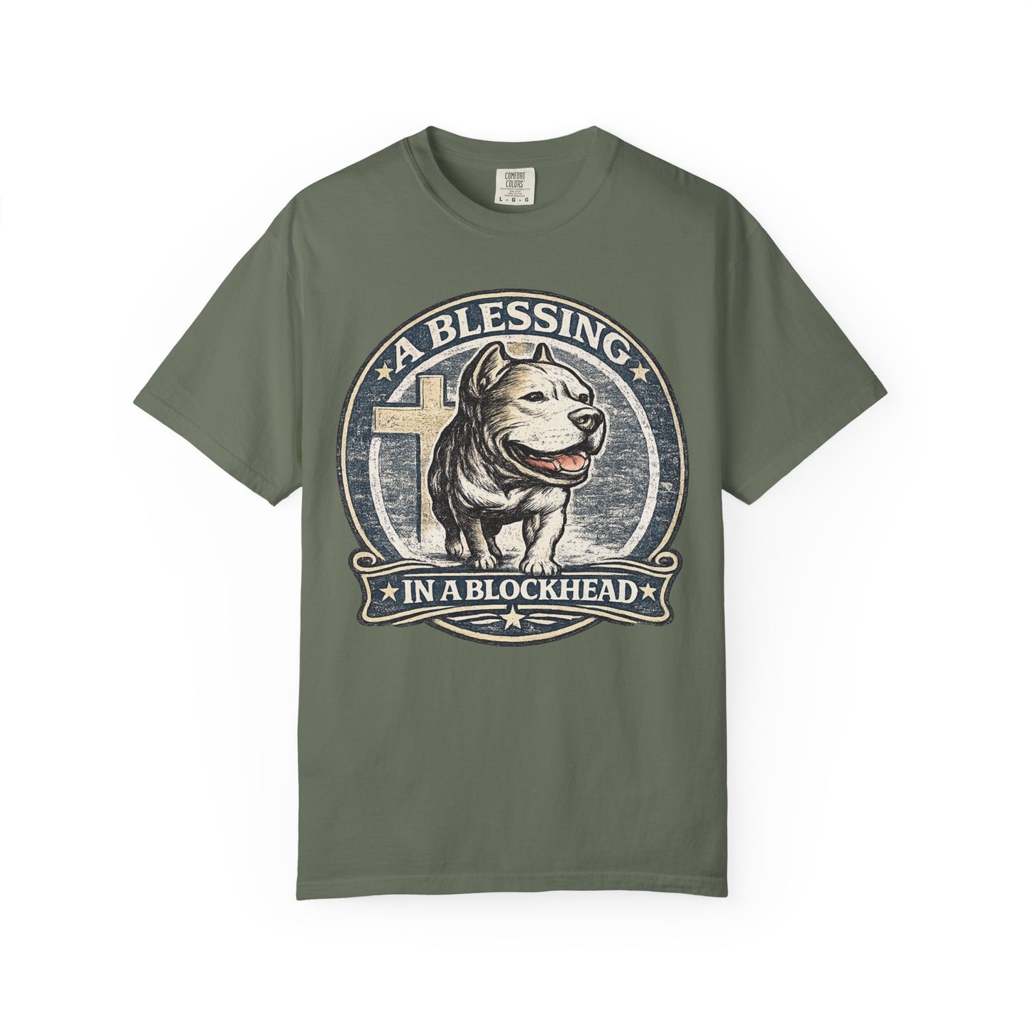 A Blessing in a Blockhead Vintage Tee – Christian Pit Bull Shirt