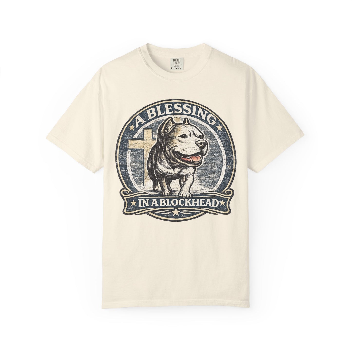 A Blessing in a Blockhead Vintage Tee – Christian Pit Bull Shirt