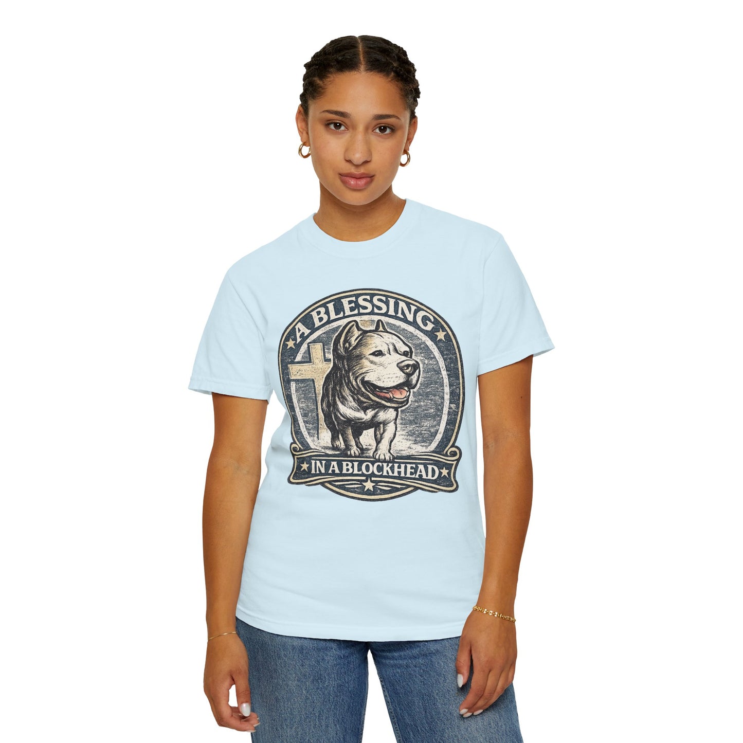 A Blessing in a Blockhead Vintage Tee – Christian Pit Bull Shirt