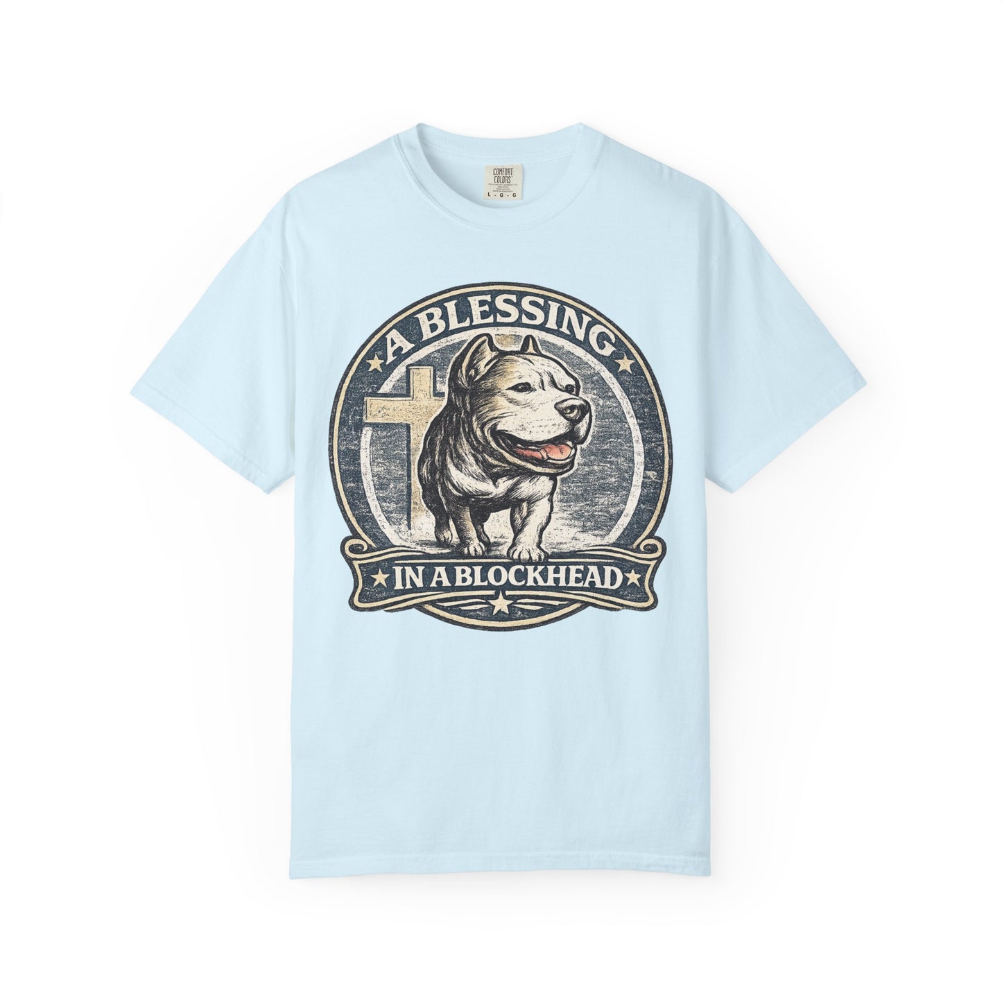 A Blessing in a Blockhead Vintage Tee – Christian Pit Bull Shirt